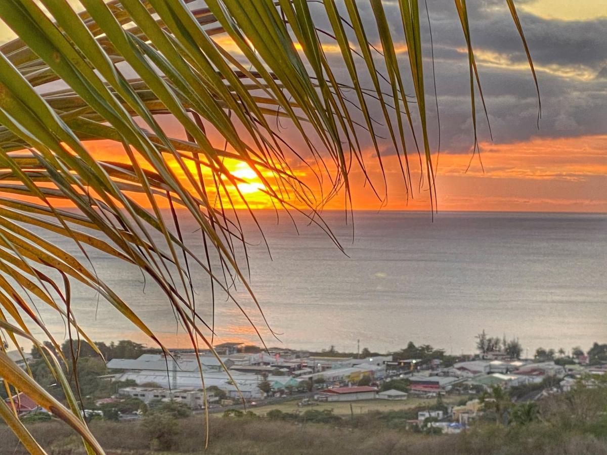 Residence Paradis Tropical Basse Terre Bagian luar foto