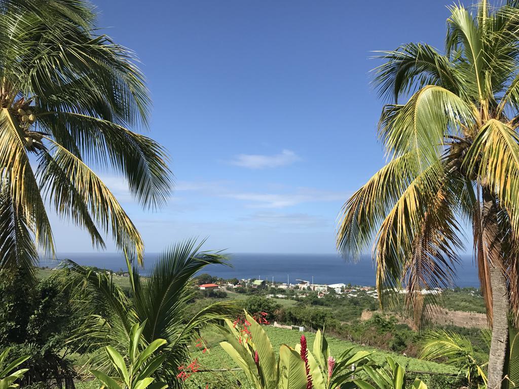 Residence Paradis Tropical Basse Terre Bagian luar foto