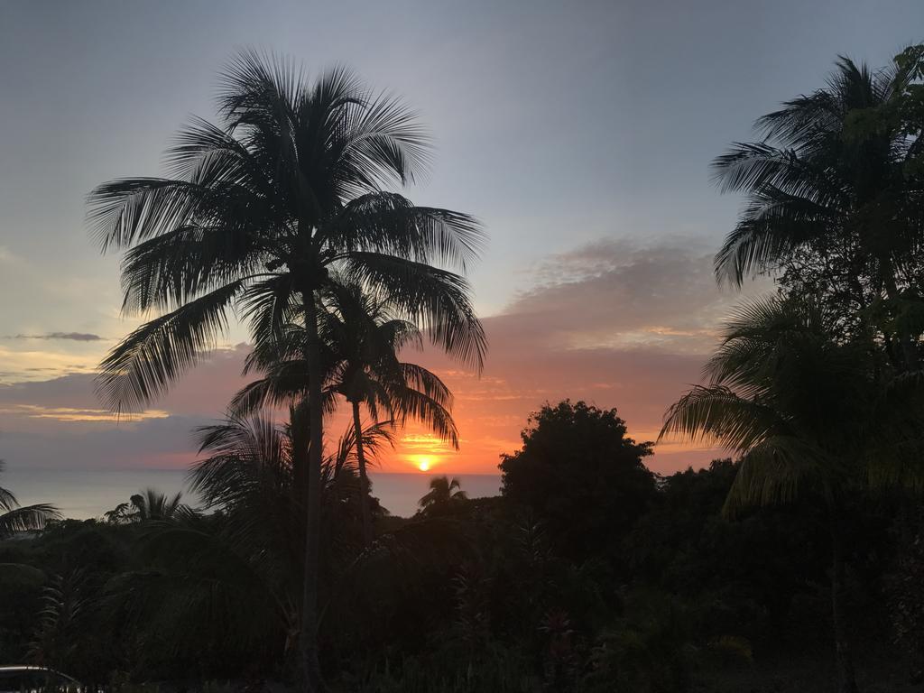 Residence Paradis Tropical Basse Terre Bagian luar foto