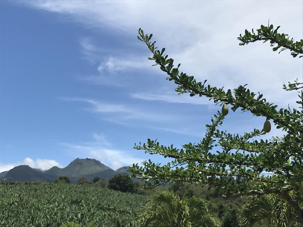 Residence Paradis Tropical Basse Terre Bagian luar foto