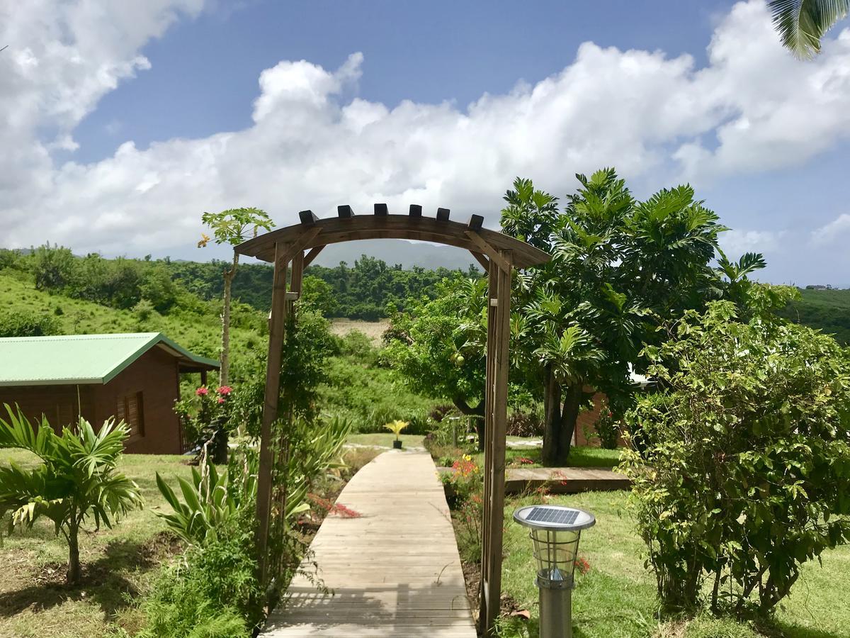 Residence Paradis Tropical Basse Terre Bagian luar foto