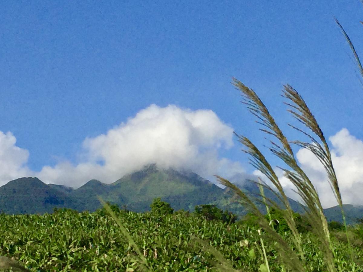 Residence Paradis Tropical Basse Terre Bagian luar foto
