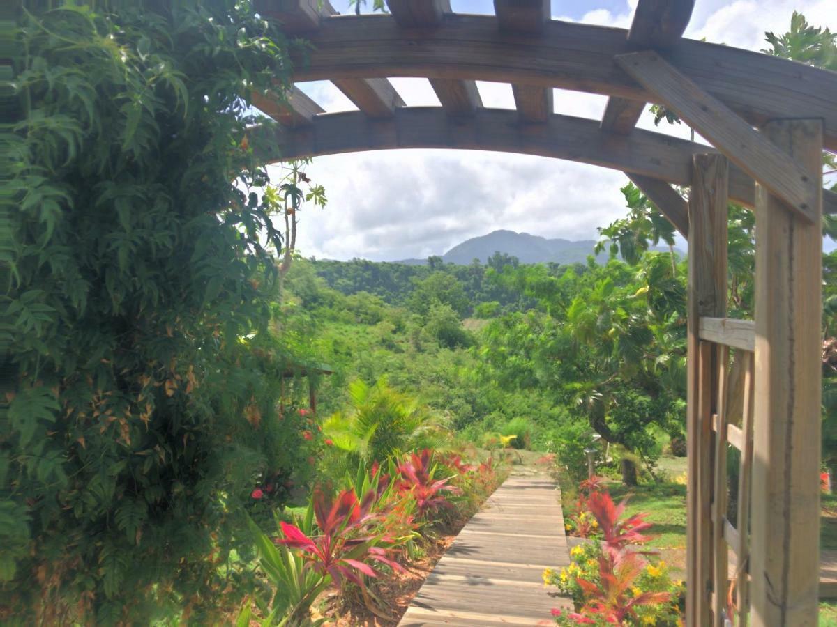 Residence Paradis Tropical Basse Terre Bagian luar foto