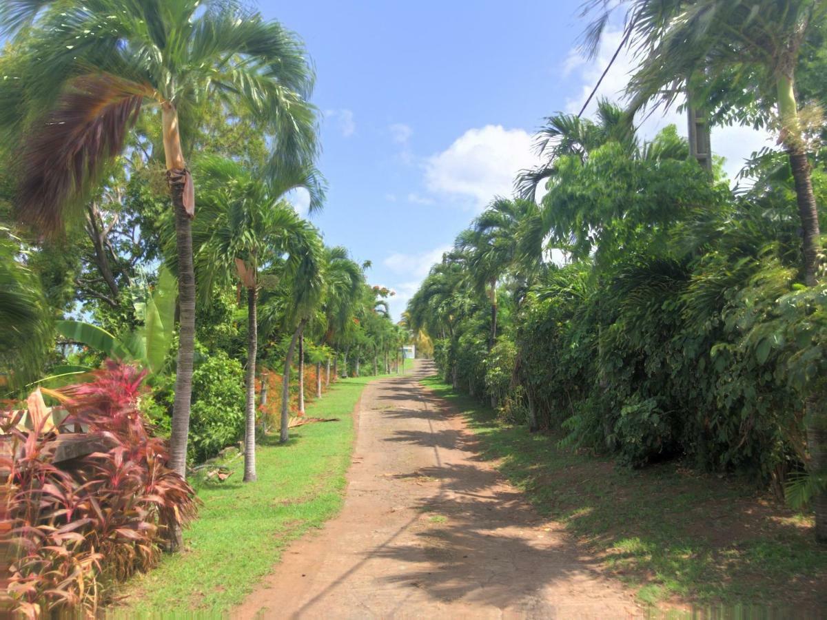 Residence Paradis Tropical Basse Terre Bagian luar foto