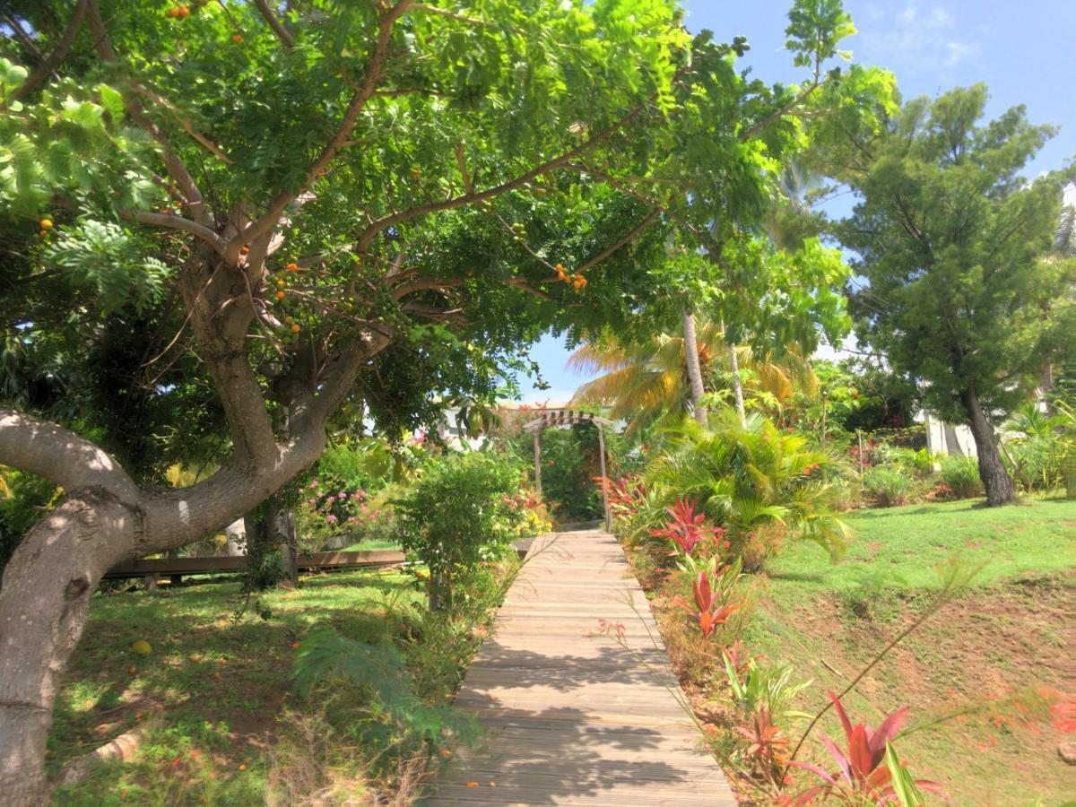 Residence Paradis Tropical Basse Terre Bagian luar foto