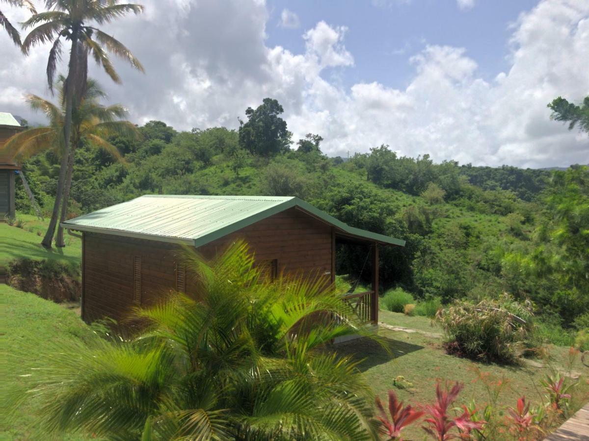 Residence Paradis Tropical Basse Terre Bagian luar foto