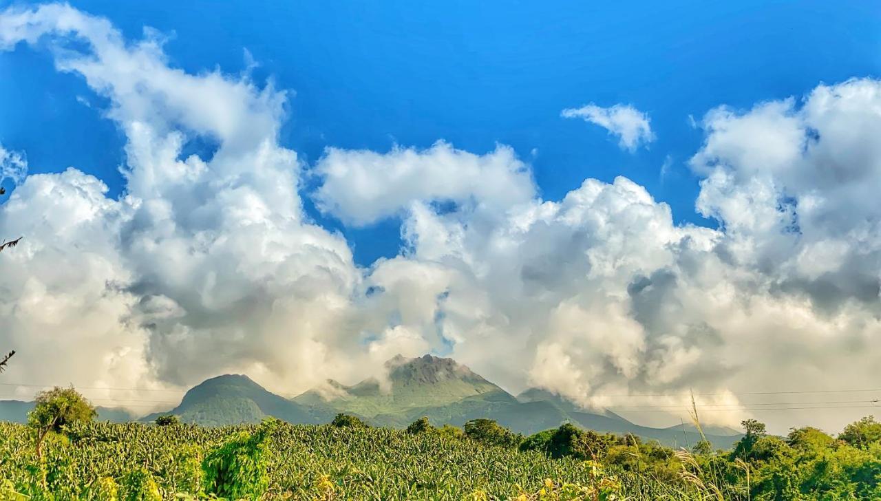 Residence Paradis Tropical Basse Terre Bagian luar foto