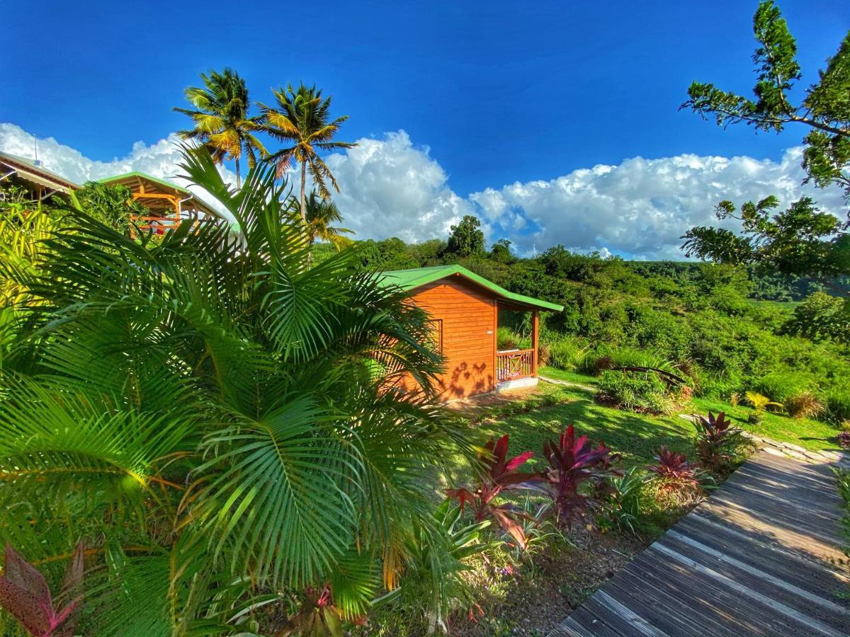 Residence Paradis Tropical Basse Terre Bagian luar foto